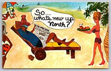 Vintage Postcard So, What's New Up North? Cartoon Humorous Postcard 1960's picture
