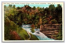 Ithaca NY Cornell University Fall Creek Gorge White Border Postcard Posted 1924 picture