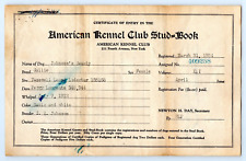 1924 American Kennel Club COLLIE Stud Book Certificate picture