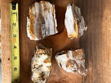 petrified wood opalized agatized 4 piece raw decor collection red white 1lb 10oz picture