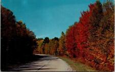 Vintage MICHIGAN SCENIC HIGHWAYS AUTUMN VIEW CHROME POSTCARD ~ Ships FREE picture