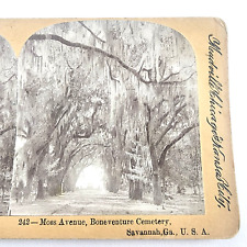 Antique SV 1890s, Keystone View #242, Savannah Georgia, Moss Ave, Bonaventure picture