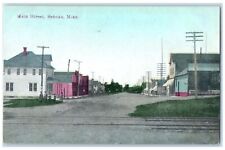 c1910 Main Street Exterior Roadside Sebeka Minnesota MN Unposted People Postcard picture