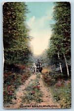 St. Helen Michigan MI Postcard Country Road Exterior View c1910 Vintage Antique picture