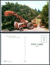 FLORIDA Postcard - Citrus Harvest with Tractor M23 picture