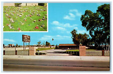 c1960's Sea Breeze Pet Cemetery Huntington Beach California CA Postcard picture