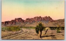 Roswell NM Desert View in 1925 Organ Mountains UFO Hand Colored Postcard J6 picture