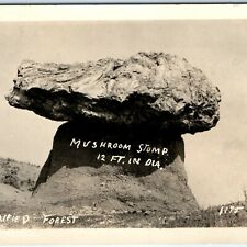 c1930s Petrified Forest, AZ RPPC Mushroom Stump Real Photo Postcard Tree Vtg A48 picture