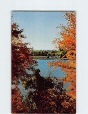 Postcard A Northwoods View In Natural Color picture