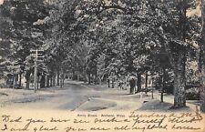 Amity Street Amherst Massachusetts 1911 postcard picture