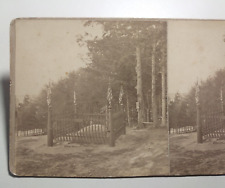 Endicott Rock Weirs New Hampshire Stereoview Photo F.J. Moulton picture