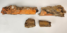 Unfinished Dino Bone Fossil Project - Lance Fm. - Weston Co., WY  picture