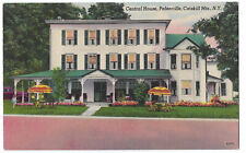 Catskill Mountains New York 1930s Linen Postcard Central House Palenville picture