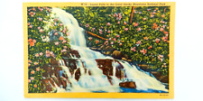 Laurel Falls Great Smoky Mountains Postcard Vintage Linen Waterfall Flower Park picture