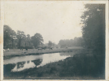 France, River in the Couesnon Valley, ca.1910, Vintage Silver Print Ventag picture