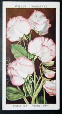SWEET PEA  Vintage 1939 Illustrated Botanical Card  CD27 picture