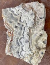 OUTSTANDING 544 Gram~Crazy Lace Agate Thick End Cut Slab-Old Stock~Great Pattern picture