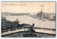 Budapest Hungary Postard Bridge River View from the Royal Castle 1918 picture