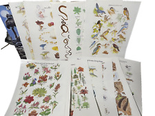 Smokey the Bear Vintage Lot of 15 Nature prints Forestry Mushrooms Birds Animals picture
