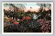 Among The Flowers In Florida Vintage Souvenir Postcard picture