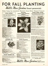 1954 Walter Marx Gardens For Fall Planting Japanese Iris Vintage Print Ad picture