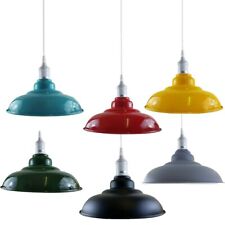 Vintage Industrial Metal Hanging Pendant Light Room Ceiling Lamp Easy Install picture