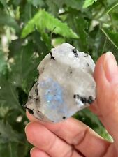 Grade A+ Large Rainbow Moonstone Raw Stone 2-3 Inches, Wholesale Bulk Lot picture