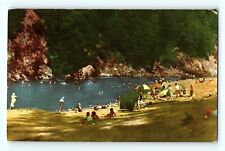 Richardson Grove Redwood Highway Eel River California Swimming Postcard D1 picture