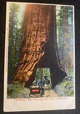 Wawona, Big Tree **RARE** Britton & Rey Publisher Vintage c1906 Postcard picture