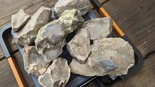 25 Lbs Florida Chert Flint Rock for Knapping/Lapidary Landscaping Ponds  picture