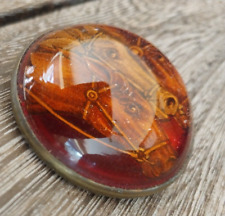 Antique Horse Bridle Rosette Glass Dome 2 horses amber colored brooch pin picture