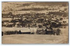 1907 Bird's Eye View Of Delevan New York NY RPPC Photo Posted Antique Postcard picture