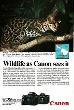 1989 Canon 620 650 Camera margay Vintage Print Ad picture