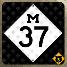Michigan state route M-37 Grand Rapids lower highway marker 1969 road sign 16x16 picture