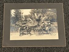1904 horse drawn carriage photo Los Angeles West Lake Park Rare LA california CA picture