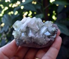 Light Green APOPHYLLITE On SCOLECITE Minerals A-4.24 picture