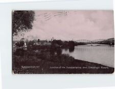 Postcard Junction of the Susquehanna and Chenango Rivers Binghamton New York USA picture