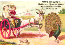 1882 Amos Ringwalt Lancaster PA Saddle Harness Maker Goat Peacock  Trade Card a2 picture