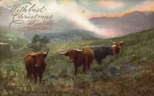 1907 With Best Christmas Wishes Highland Cattle at Arrochar Vintage Postcard picture