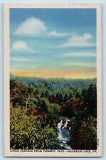 Mountain Lake Virginia VA Postcard Little Cascade Chimney 1953 Vintage Antique picture