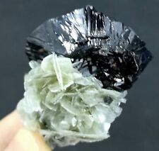 67g 45mm SUPERB BRIGHT & LUSTROUS Cassiterite with Muscovite China CMM910362 picture