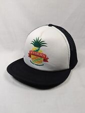 Wyder's Trucker Hat Hard Cider Prickly Pineapple Mesh Baseball Cap Black Rim picture