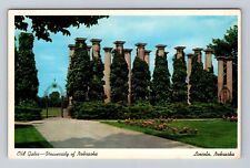 Lincoln NE-Nebraska, Old Gates, University Of Nebraska Antique Vintage Postcard picture