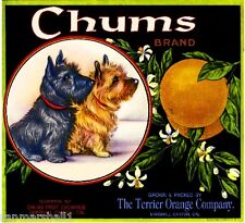 Marshall Canyon Chums Scottish & Cairn Terrier Dog Orange Crate Label Art Print picture