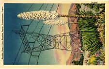 Vintage Postcard- Boulder Dam, Los Angeles Power Transmission Tower. Early 1900s picture