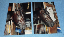 Two 1991 Harness Racing Photos Horse MB Felty Ronnie Gurfein Stable Delray Beach picture