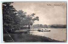1919 The Pier Cazenovia New York NY, Boat Dock Nature Scene Antique Postcard picture