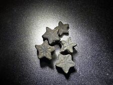 Crinoid Star fossil - 30 pieces - fairy coins - Great gift for collectors picture