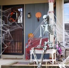 5.4Ft Halloween Skeleton Life Size Realistic Full Body Hanging W/ Movable Joints picture