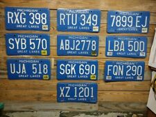 1996 Expired  Michigan blue plates License Plates Auto Tags ~RXG 398 picture